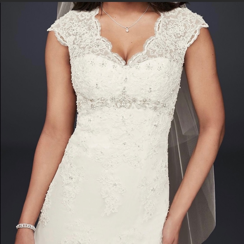 David’s Bridal Wedding Dress As-Is Cap Sleeve Lace Over Satin Illusion Gown